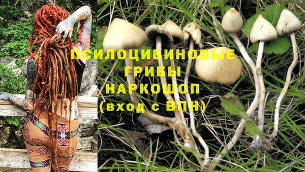героин Карпинск