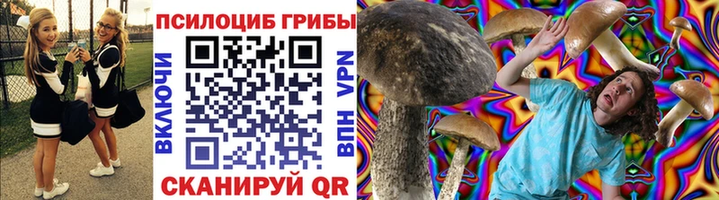 Купить закладки  Туран  Псилоцибиновые грибы ЛСД 